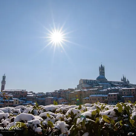 Le Lupe Nocleg ze śniadaniem