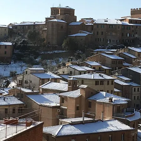 Le Lupe シエーナ